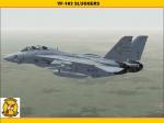 Iris F-14A VF-103 Sluggers New Textures